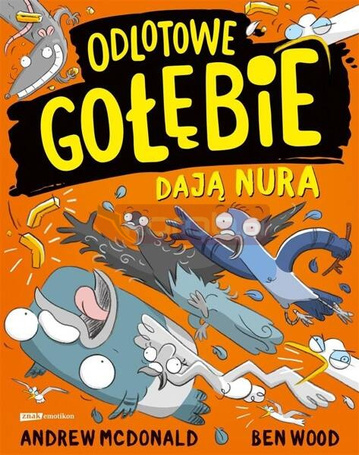 Odlotowe gołębie dają nura