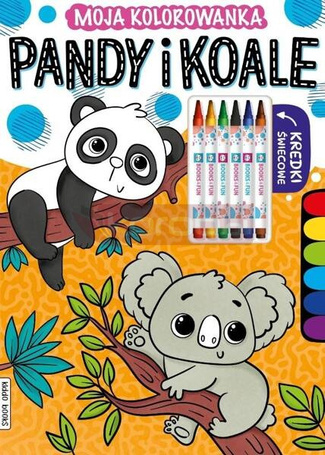 Pandy i koale