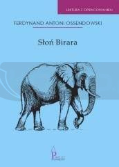 Słoń Birara. Lektura z opracowaniem.