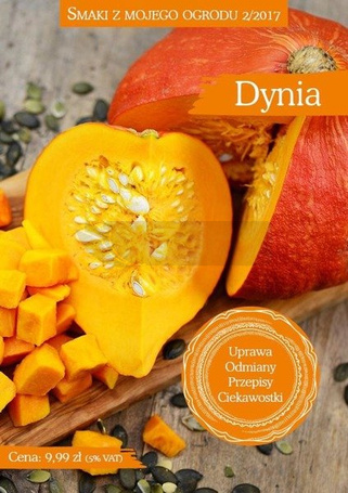 Smaki z mojego ogrodu 2/2017. Dynia