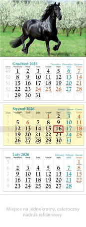 Kalendarz 2026 ścienny trójdzielny Koń