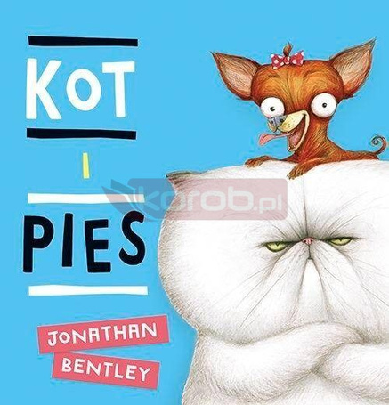 Kot i pies