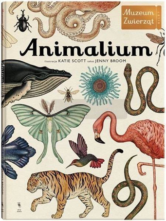 Animalium wyd.3