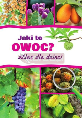 Jaki to owoc? Atlas dla dzieci