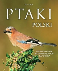 Ptaki Polski