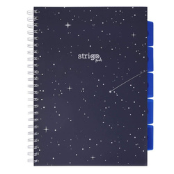 Kołozeszyt Pads A4/100K kratka Kosmos