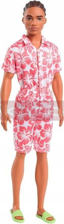 LALKA BARBIE FASHIONISTAS STYLOWY KEN NR 235 HYT99