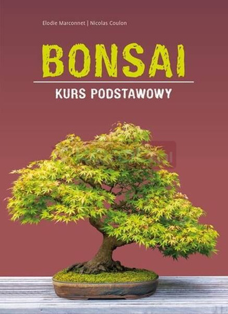 Bonsai - kurs podstawowy