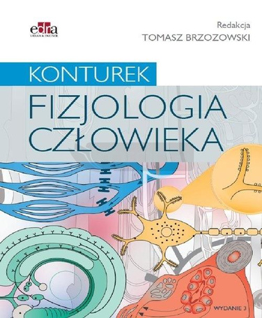 Konturek. Fizjologia człowieka