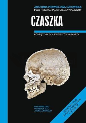 Anatomia prawidłowa człowieka. Czaszka