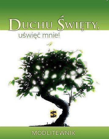 Duchu Święty uświęć mnie! Modlitewnik