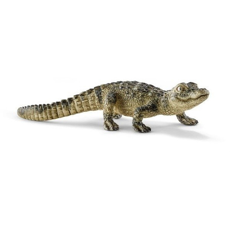 Mały aligator 