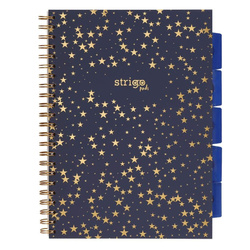 Kołozeszyt Pads A4/100K kratka Gwiazdy