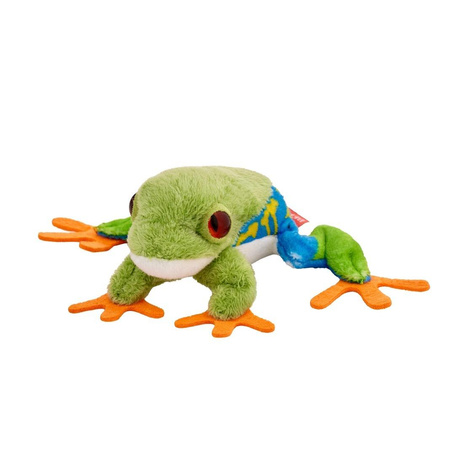 Żaba drzewołaz niebiesko-żółty 10cm
