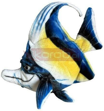 Ryba morska Skalar 35cm