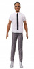 Lalka Barbie Fashionistas Ken classic cool