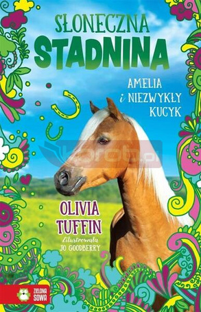 Słoneczna Stadnina. Amelia i niezwykły kucyk