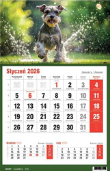 Kalendarz 2026 jednodzielny MIX