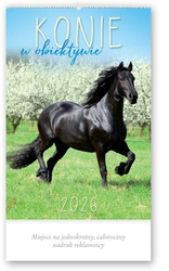 Kalendarz 2026 reklamowy Konie w obiektywie