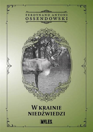 W krainie niedźwiedzi