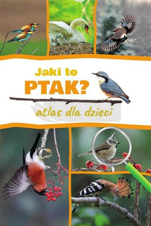 Jaki to ptak? Atlas dla dzieci