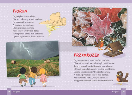 Co warto wiedzieć o przyrodzie TW