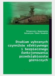 Studium wybranych czynników efektywnego...