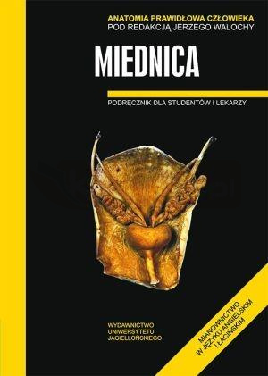 Anatomia prawidłowa człowieka. Miednica