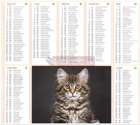 Kalendarz 2024 Plakietka