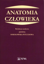 Anatomia człowieka