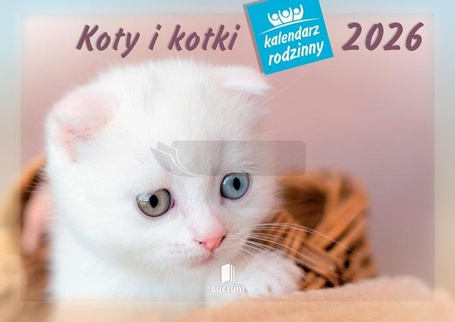 Kalendarz 2026 rodzinny Koty i kotki