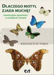 Dlaczego motyl zjada muchę