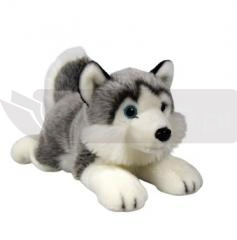 Pies Husky 27cm