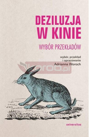 Deziluzja w kinie. Wybór przekładów