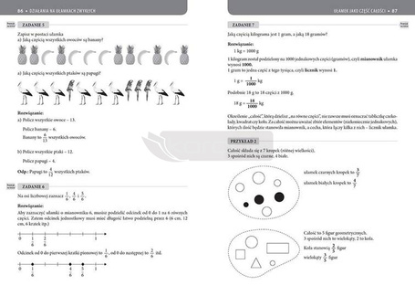 Matematyka SP 4 korepetycje GREG