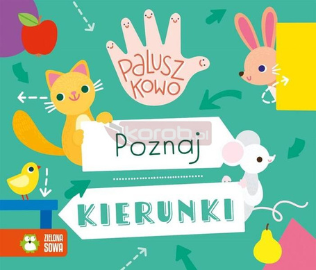 Paluszkowo. Poznaj kierunki
