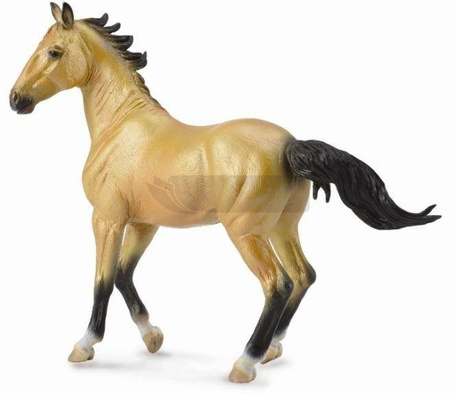 Klacz Akhal Teke Buckskin