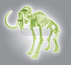 Naukowa zabawa Skamieniałości Mamut fluorescencyjny 60890
