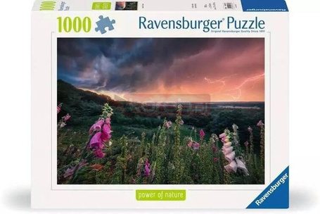 Puzzle 1000 Nadchodzi burza