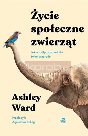 Życie społeczne zwierząt