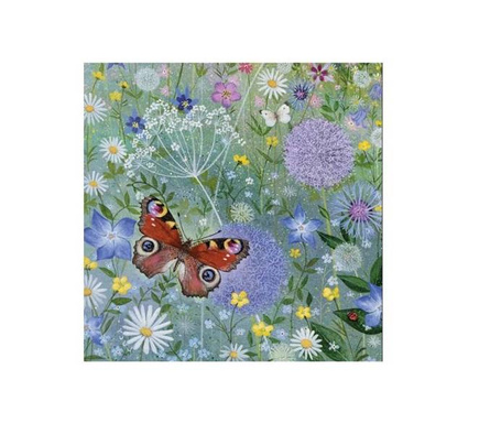 Karnet kwadrat z kopertą Peacock Butterfly