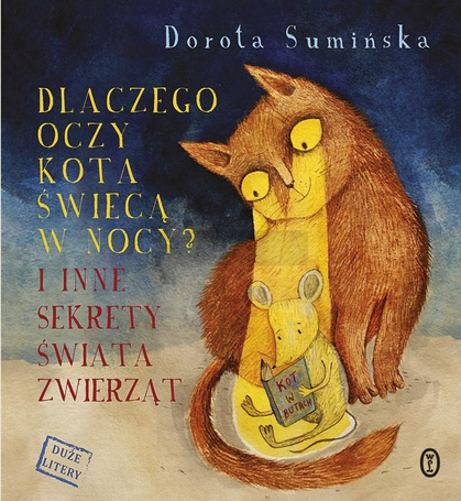 Dlaczego oczy kota świecą w nocy?