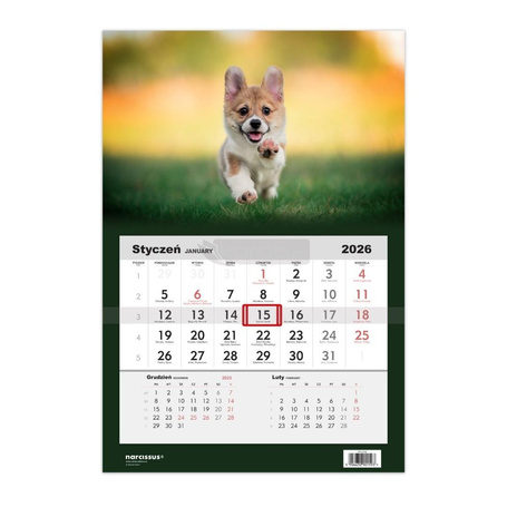 Kalendarz 2026 jednodzielny Pies Corgi HELMA