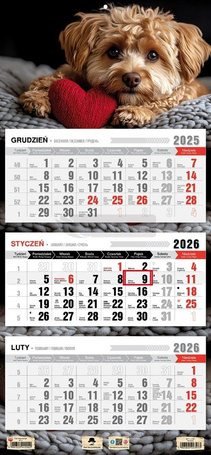 Kalendarz 2026 trójdzielny płaska główka piesek