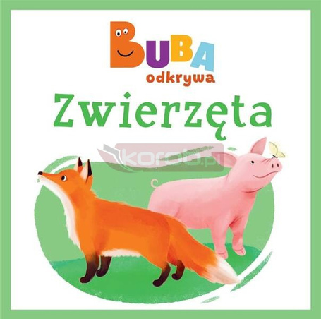 Zwierzęta