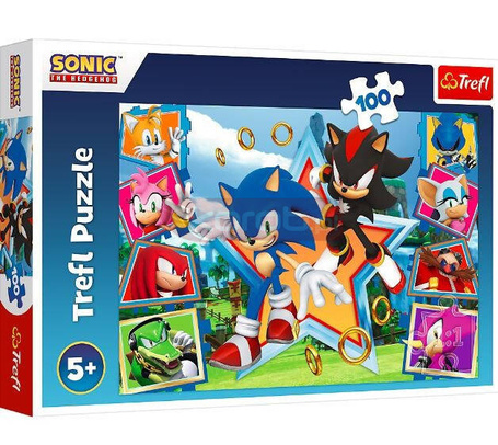 Puzzle 100 elementów Poznaj Sonica Sonic