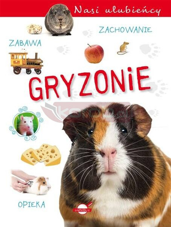 Nasi ulubieńcy. Gryzonie
