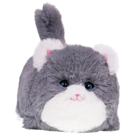 Interaktywny kot szary