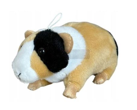 Świnka morska łaciata 14cm