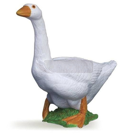 Gęś